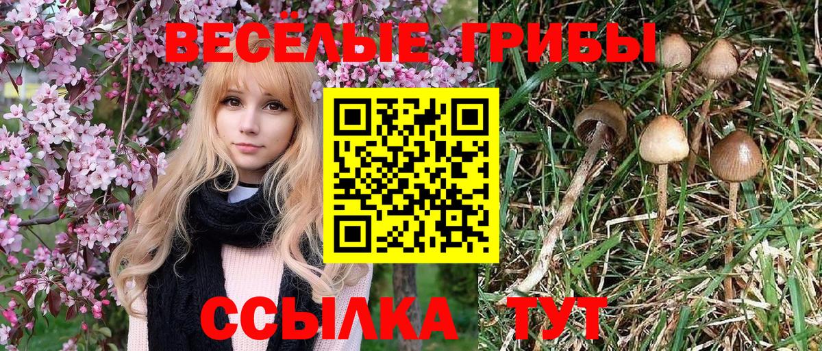Сердобск  Галлюциногенные грибы мицелий  Вход с VPN 